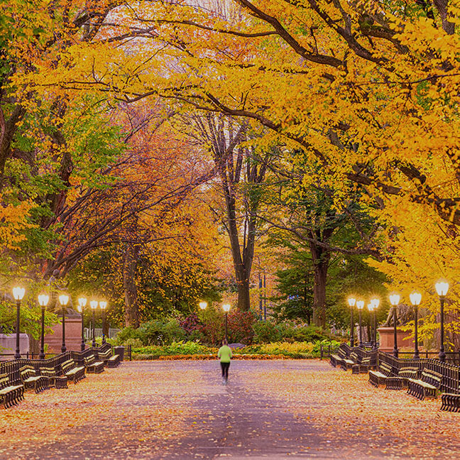 building a website that stands out