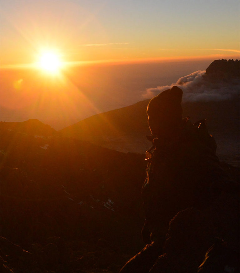 Website Design For Healthcare